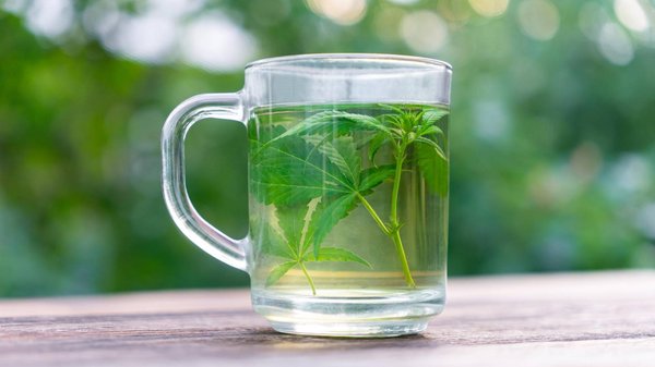 Tisane au CBD : un rituel de bien-être à intégrer dans votre quotidien